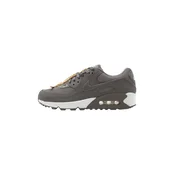 Nike Sportswear Nizke superge Air Max 90 zlata/temno siva