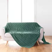 Zeleno pregrinjalo iz mikroflanele 180x220 cm Arya – douceur dintérieur