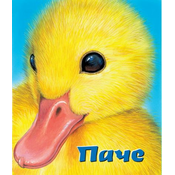 Tvrde slikovnice - Pace