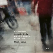 Gard Nilssens Acoustic Unity - Elastic Wave (Reissue) (LP)