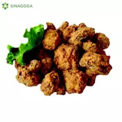 GASTRO POHOVANE GLJIVE -SINAGOGA-