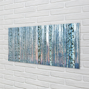 tulup.si Slika na akrilnem steklu Birch gozd sunset 125x50 cm 2 obešalnika