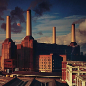 Pink Floyd - Animals (Reissue) (LP)