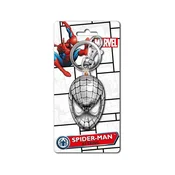 Spiderman Maska - Kositrni obesek za ključe