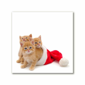 tulup.si Slika na platnu Božični mačke Santa Claus 50x50 cm