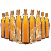 shumee 50X STEKLENICE ZA VICHY LIGHT PIVO 500 ML
