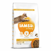 2x10kg IAMS for Vitality Hairball Adult piščanec hrana za mačke