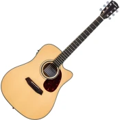 Pasadena PDC-200E Natural Elektro-akusticna dreadnought