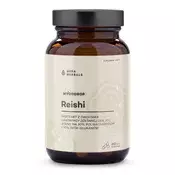 Aura Herbals - Mycodrop Reishi 30:1, 30% beta-glukana + 60 kapsul