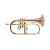 Krilovka Roy Benson Bb FH-302G RB701.095
