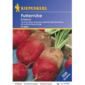 Kiepenkerl Krmna repa Eckdorot (Mega-Pack) - 500 g