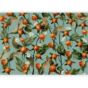 artgeist Fototapeta Orange Grove, 200x140cm