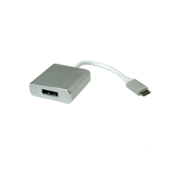ROLINE 12.03.3220 video cable adapter 0.1 m USB C DisplayPort Silver
