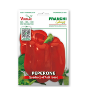 Seme paprika - Kvadratna Asti rdeča