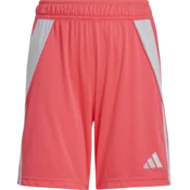 adidas Kratke hlače TIRO24 SHO Y