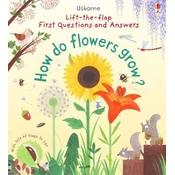 FIRST How do flowers grow?