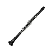 Klarinet G 17/6 Boehm 315RR Ripa – Ripamonti