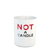 Juliette has a Gun Not a Perfume Candle