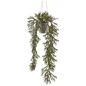 Ukrasna Biljka 70cm Geweihfarn