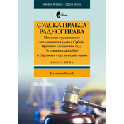 Sudska praksa radnog prava - Primeri sudske prakse