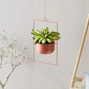Aberto Design Dekorativna saksija Parapet, 25x40x17 cm, Terakota