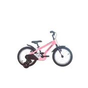 16 Cross Roxy / Pink light 2026