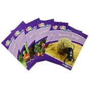 Jolly Phonics Readers Level 5, Our World