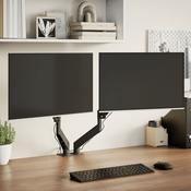 vidaXL Dvojni nosilec za monitor za do 27 zaslon VESA 75/100mm 20 kg