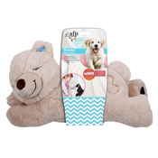 AFP WARM BEAR