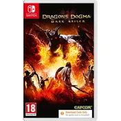 Dragons Dogma: Dark Arisen - Code in a Box (SWITCH)