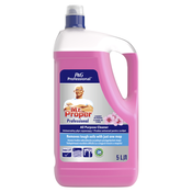 Mr Proper Mr. Proper Professional sredstvo za čišćenje cherry blossom 5L, (1001004876)