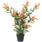 Homestar Umetna rastlina Photinia 45x45x90 cm rdeče zelena