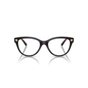 Versace Naocare VE 3365U 5263