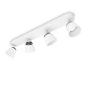 Philips Dender zidna/stropna lampa (53344/31/16)