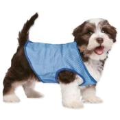 Vesta Dog Fantasy hladilna M
