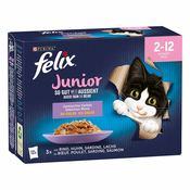 Felix Junior Fantastic So gut wie es aussieht - 48 x 85 g - Piletina, govedina, losos, sardine