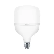 Braytron LED sijalica BRY-ADVANCE-40W-E27-T120-PLS-6500K