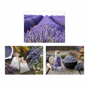 Slike v kompletu 3 ks 30x40 cm Lavender – Casa Selección