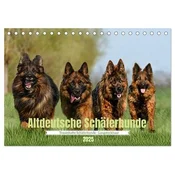 Altdeutsche Schäferhunde - Traumhafte Schäferhunde Langstockhaar (Tischkalender 2025 DIN A5 quer), CALVENDO Monatskalender