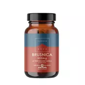 TERRANOVA - Brusnica 300 mg