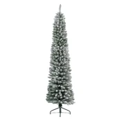 Everlands Jelka Pencil pine 240cm-70cm 68.4023