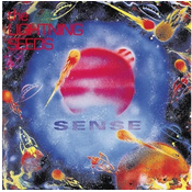 Lightning Seeds - Sense (Reissue) (LP)