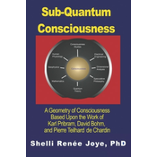 Sub-Quantum Consciousness: A Geometry of Consciousness Based Upon the Work of Karl Pribram, David Bohm, and Pierre Teilhard De Chardin
