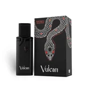 French Avenue Muški parfem Vulcan Black Friday, EDP, 100 ml