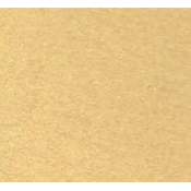 NN PAPIR BARVNI FAVINI MAJESTICK 1/100 120GR