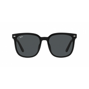 Ray-Ban RB4401D 601/87
