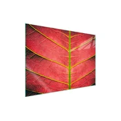 shumee Steklena zaščitna plošča za štedilnik 70x52 Leaf