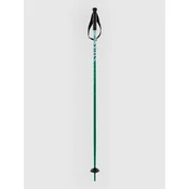 Völkl Phantastick Jr Poles 2025 Ski Poles green