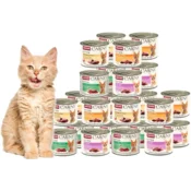 Animonda Mokra hrana za mačke za mucke ANIMONDA Carny Kitten MIX okusov Set 24x200g