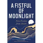 A Fistful of Moonlight
